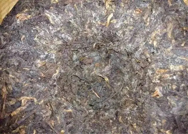 2022年普洱茶受潮發霉了怎么辦？