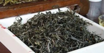 云南普洱茶怎么發展?