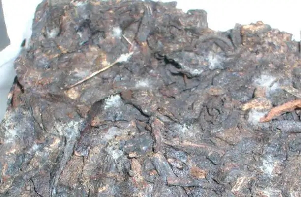 ?普洱茶發霉了怎么辦？教你妙招應對發霉的普洱茶！