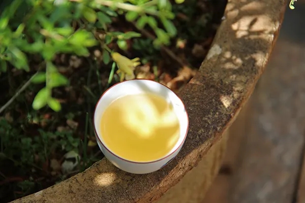 普洱茶越苦澀就代表品質(zhì)越好嗎？