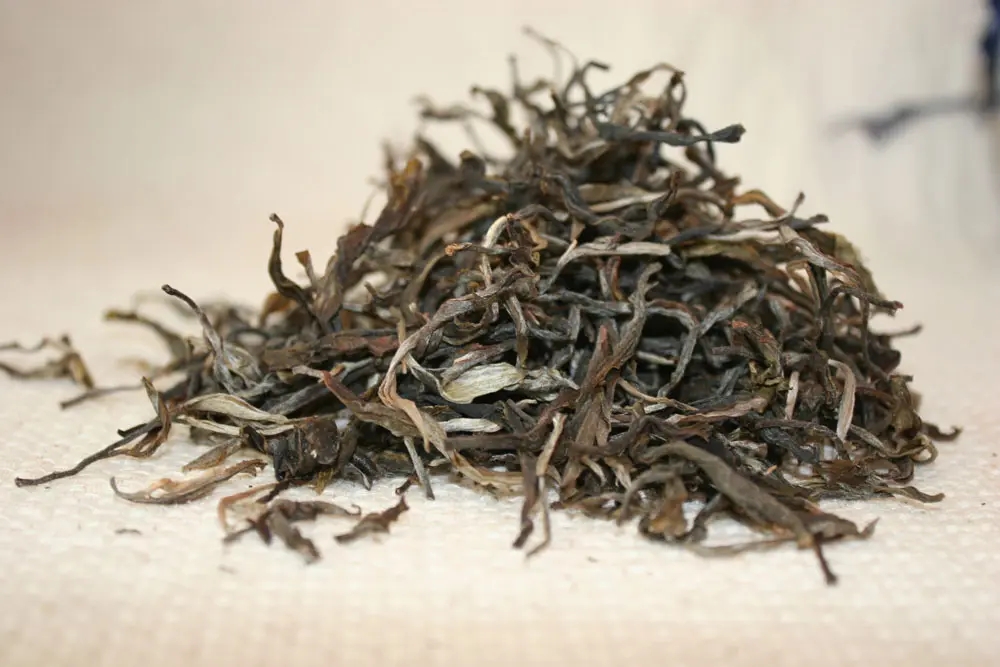 普洱茶秋茶(谷花茶)的特點和鑒別