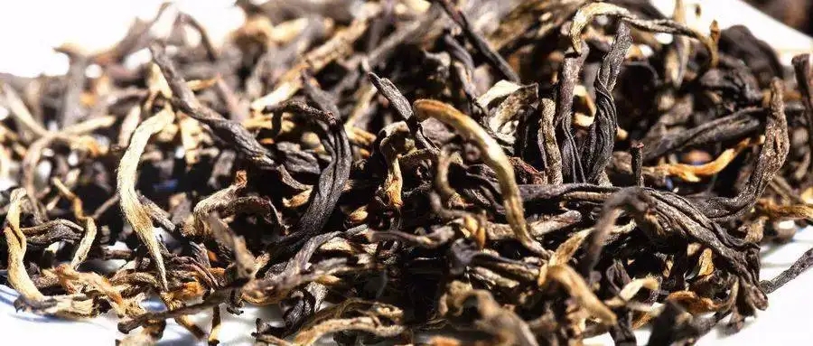 什么是茶氣?茶氣強勁又是一種怎樣的體驗?