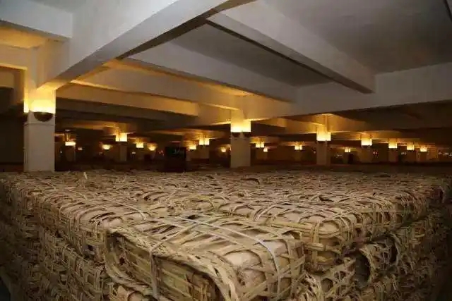 云南古樹普洱茶好在哪?相比小樹茶、臺地茶有何不同?