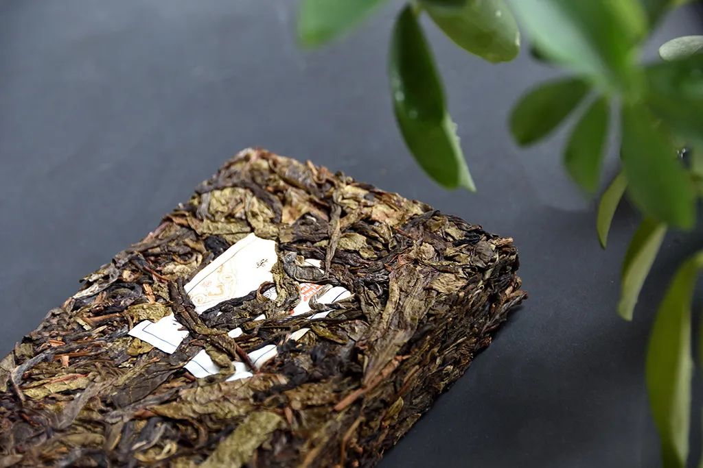 普洱茶古樹黃片，性價(jià)比超高的口糧茶，有骨有肉香甜順