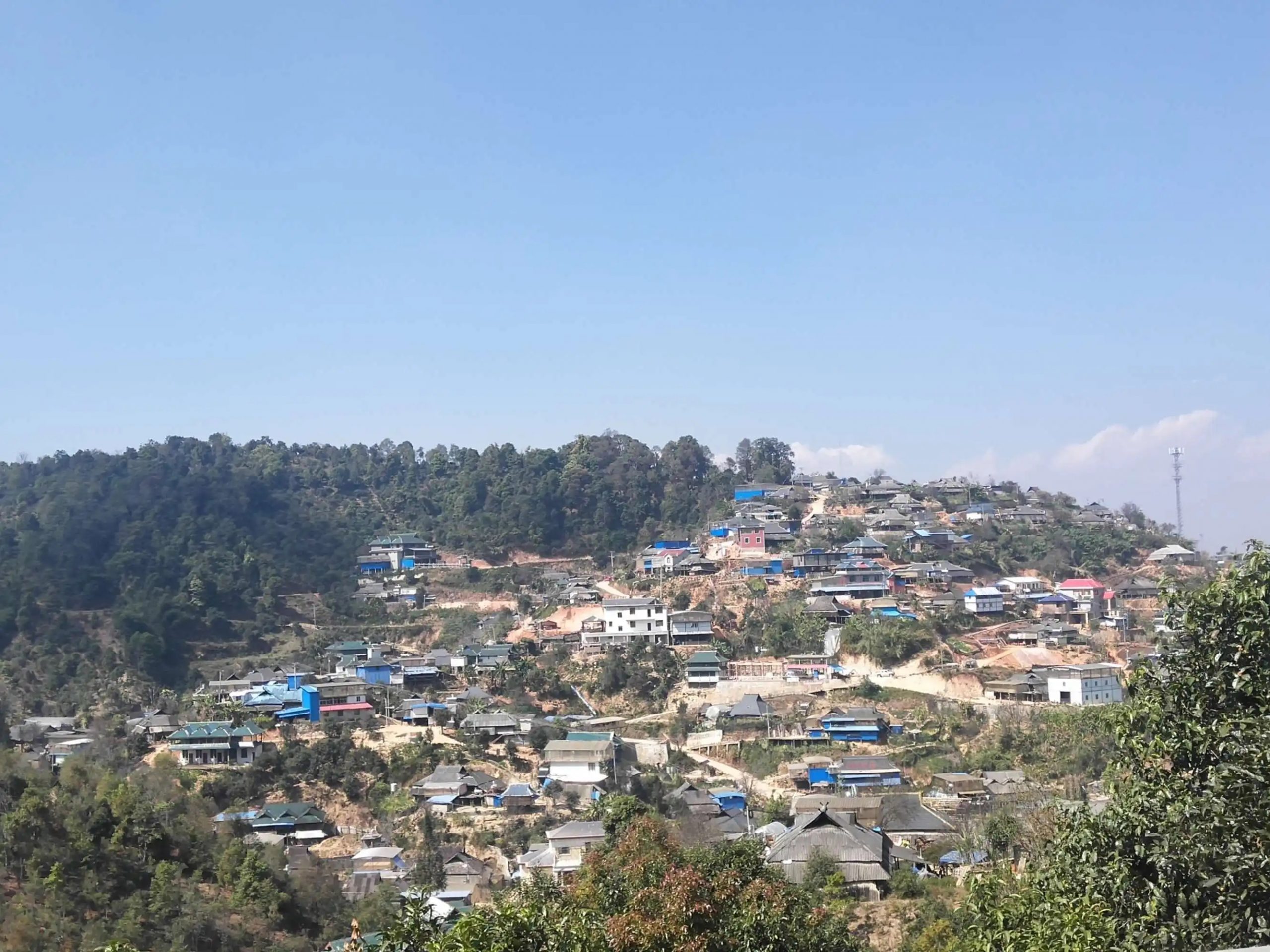 2023年帕沙古樹春茶品質如何?