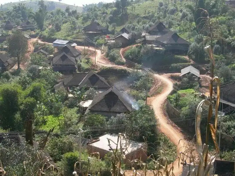 2023年保塘老寨古樹春茶品質(zhì)如何？