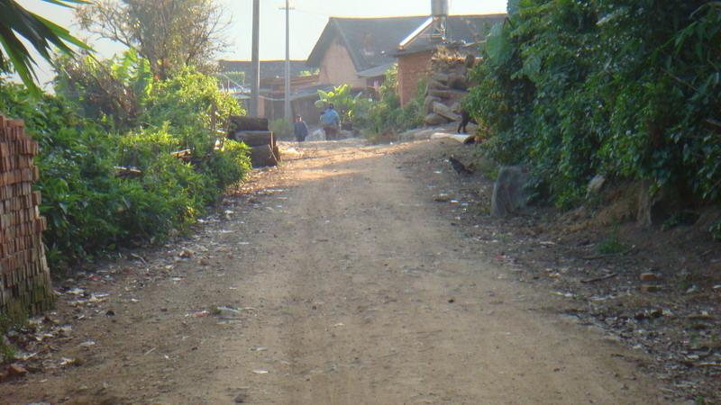 2023年保塘老寨古樹春茶價格是多少?