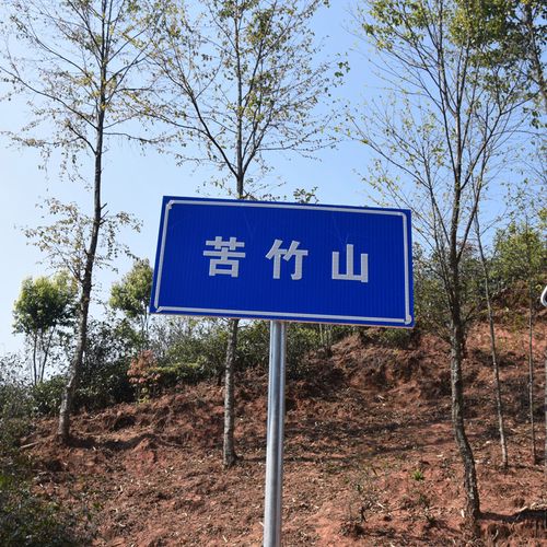 2023年苦竹山古樹春茶品質如何？