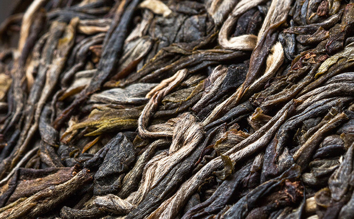 2023年冰島古樹(shù)春茶多少錢(qián)一公斤？