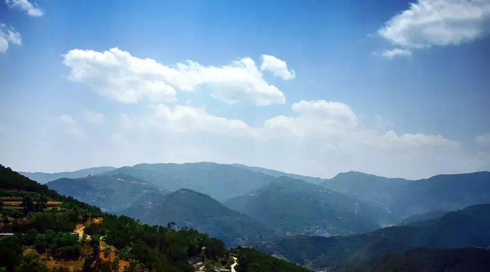 2023年勐庫大忠山古樹春茶價格是多少？