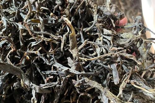 2023年鎮沅老烏山古樹春茶多少一公斤？