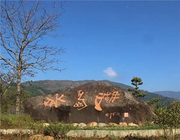 2024年冰島老寨古樹春茶品質(zhì)怎么樣？