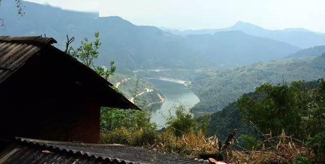 2024年磨烈古樹春茶價格多少?